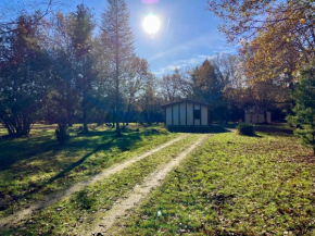Maison en forêt, calme, proche village et piste cyclable - meublé 3 étoiles